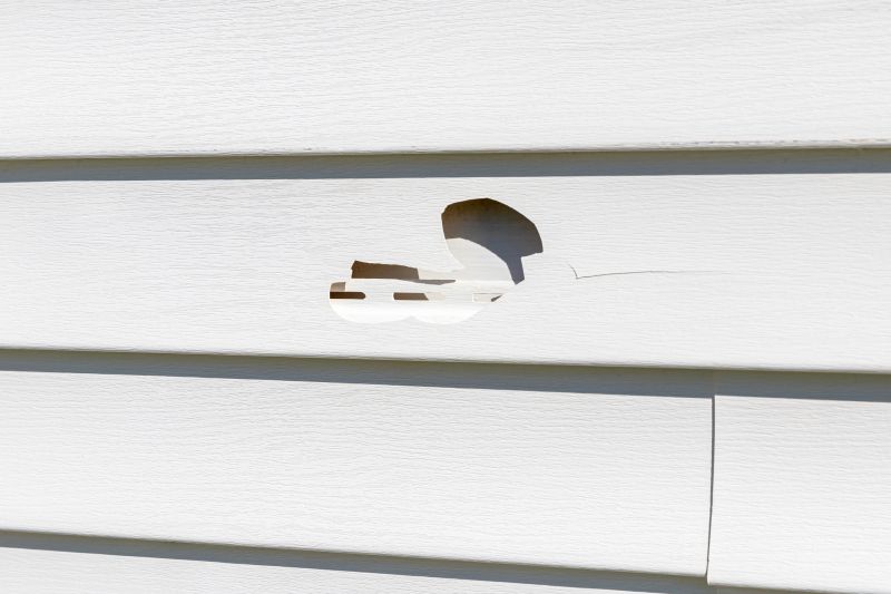 Vinyl Siding Repair - Professional Service - Image 1